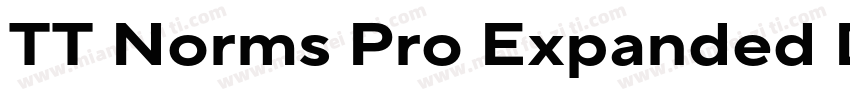 TT Norms Pro Expanded DemiBold Ital字体转换